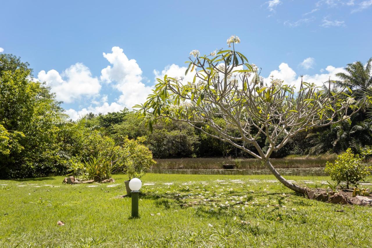 Pousada Lagoa Da Pedra Acomodação com café da manhã Imbassaí Exterior foto