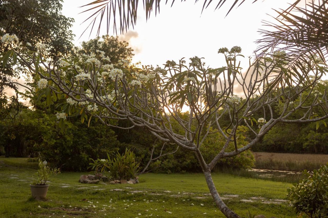 Pousada Lagoa Da Pedra Acomodação com café da manhã Imbassaí Exterior foto